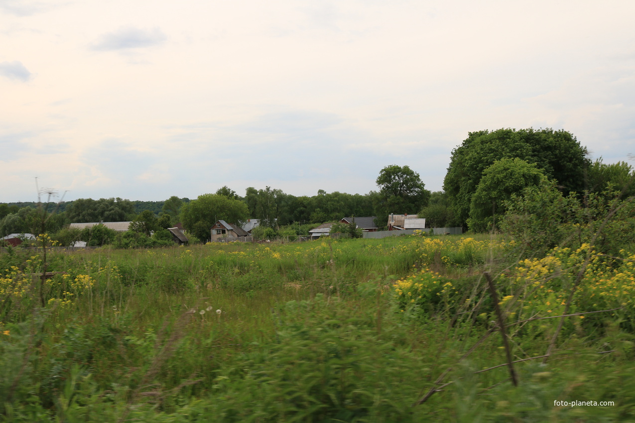 Село Сосновка