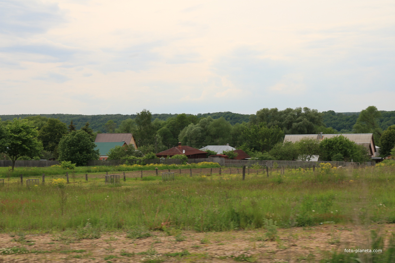 Село Сосновка
