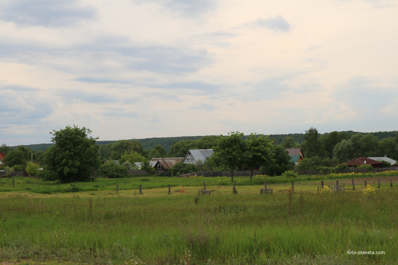Село Сосновка