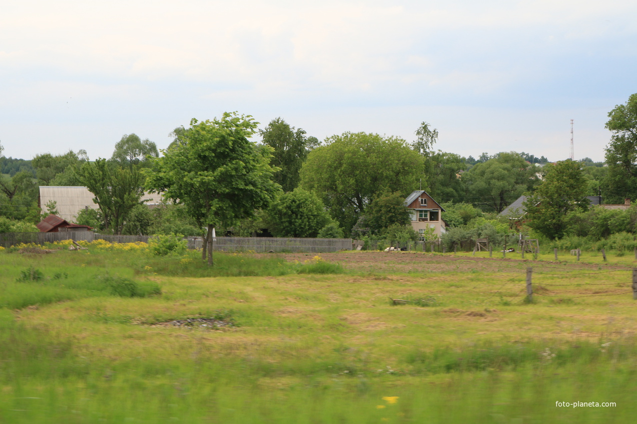 Село Сосновка