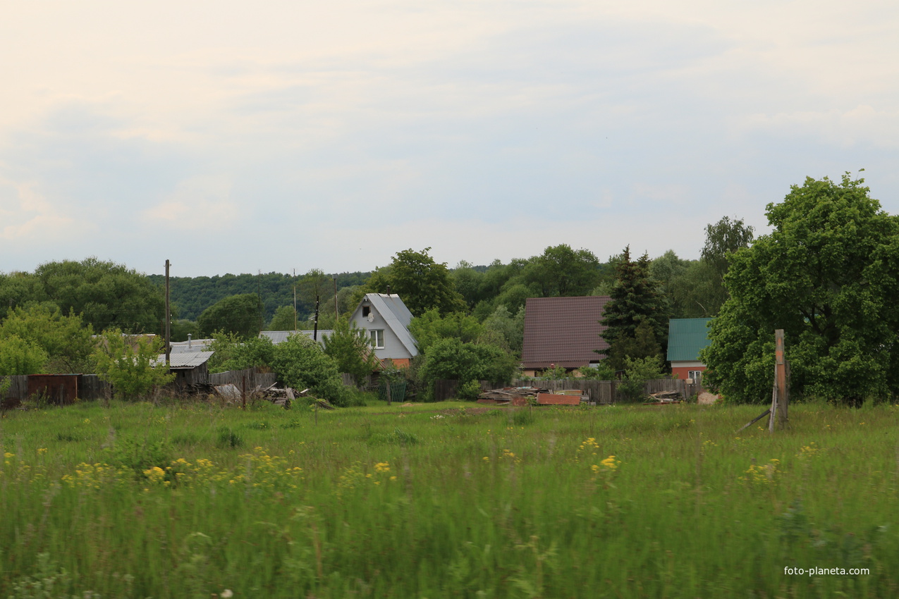 Село Сосновка