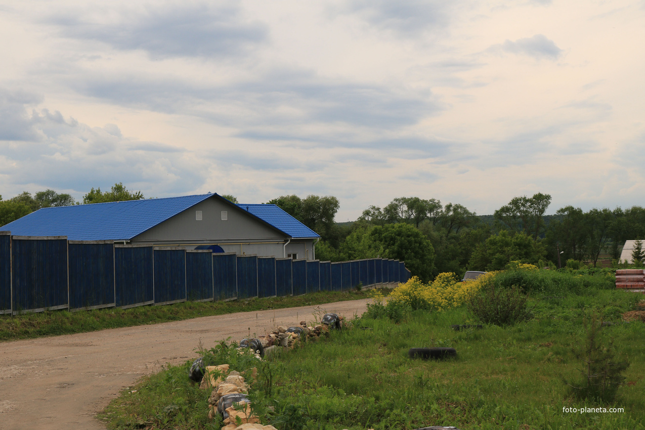 Село Сосновка