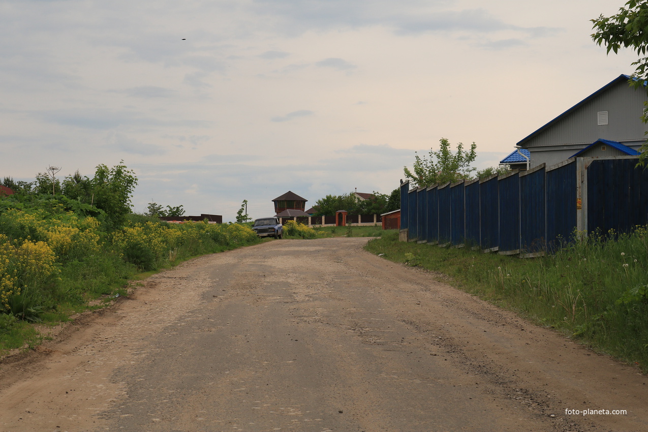 Село Сосновка