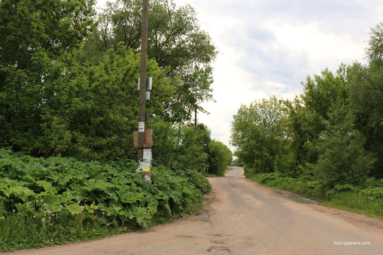 Село Сосновка
