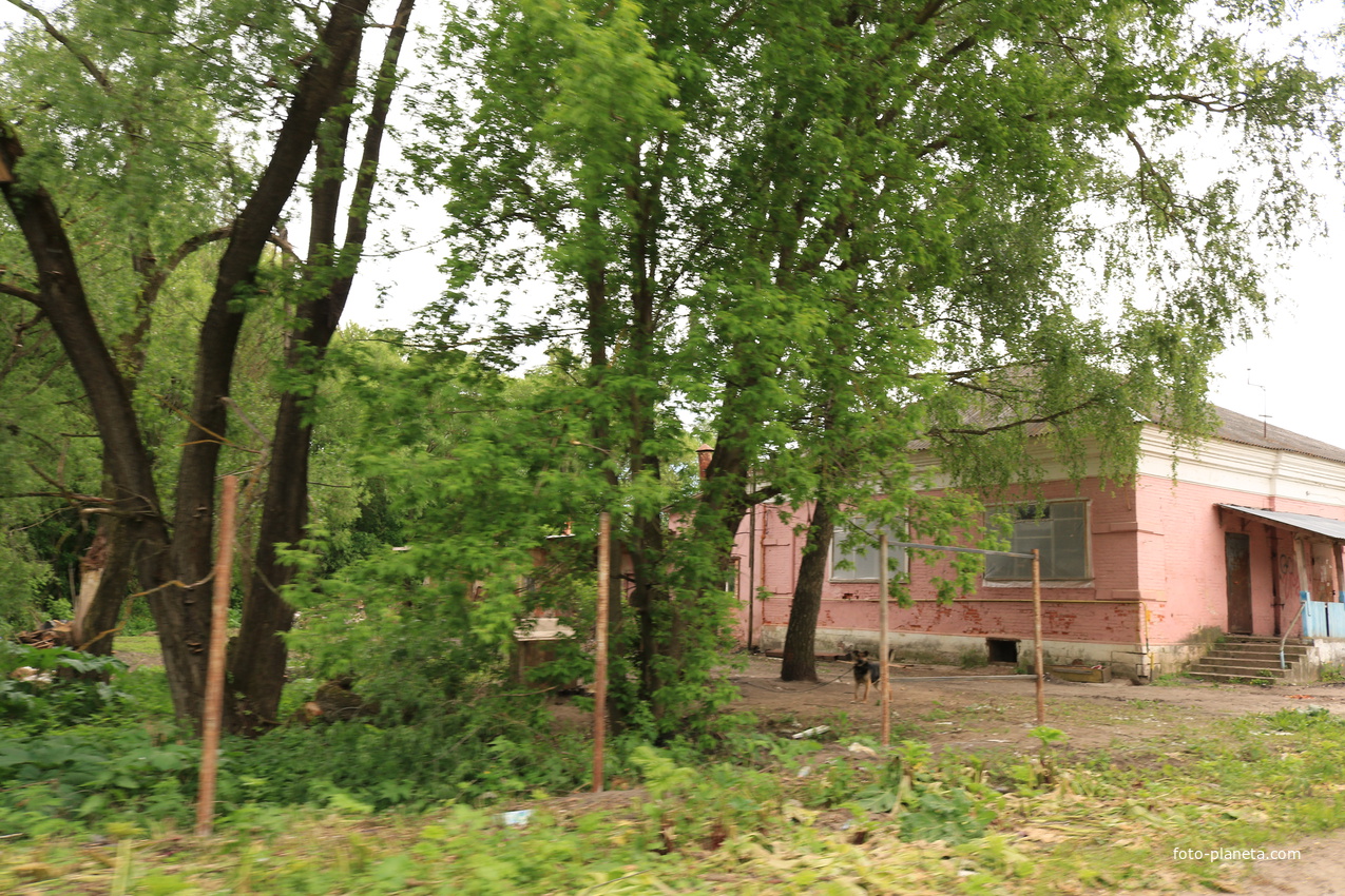 Село Сосновка