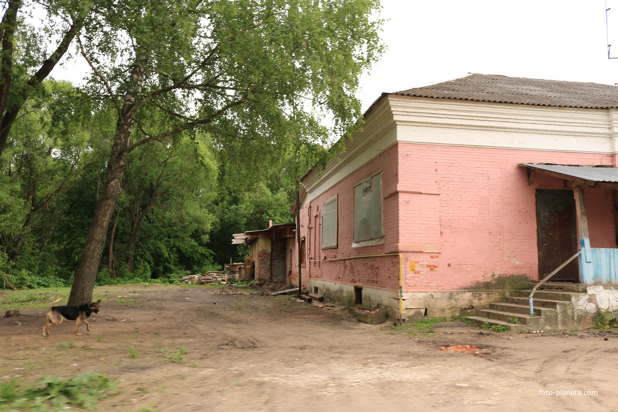 Село Сосновка