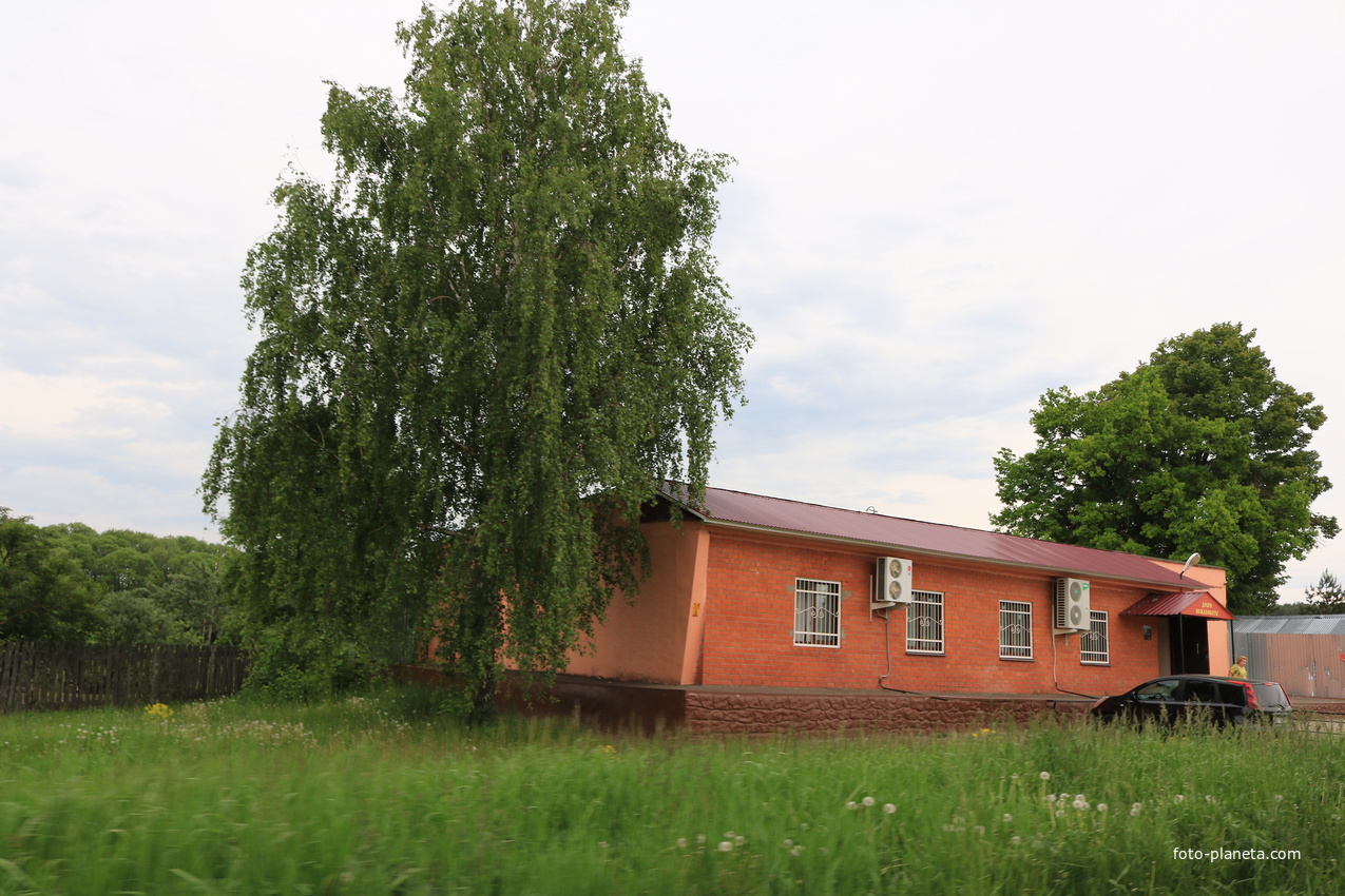 Деревня сосновка. Сосновка Озерский район. Село Сосновка Озерского района. Деревня Сосновка Московская область Озерский район. Село Сосновка Озерского района Московской области.