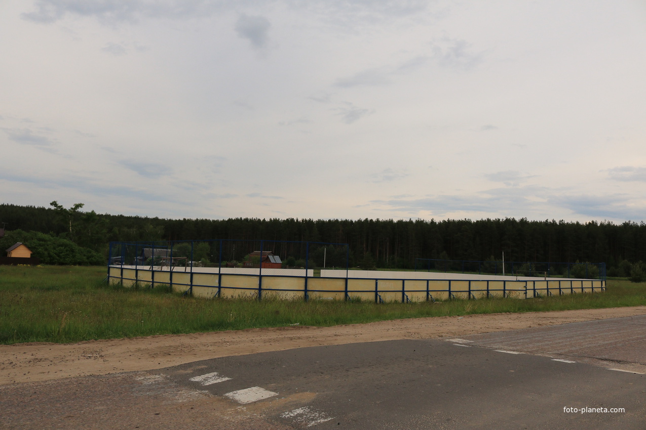 Хоккейная коробка