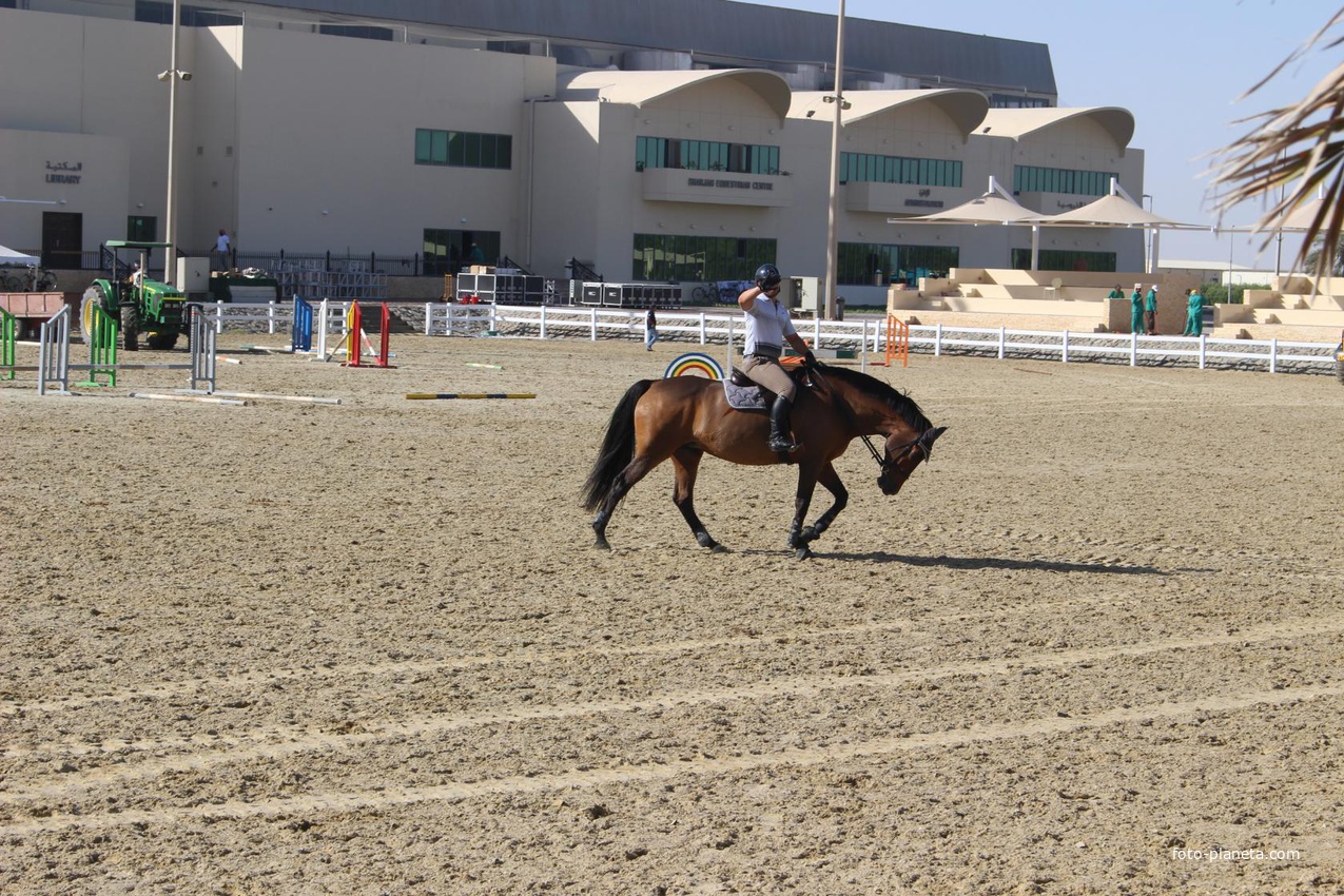 Шарджа. Конный клуб Sharjah Equestrian &amp; Racing Club.