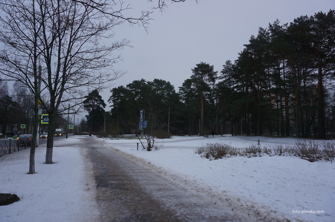 Сосновый Бор.