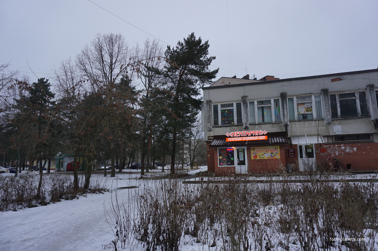 Сосновый Бор.