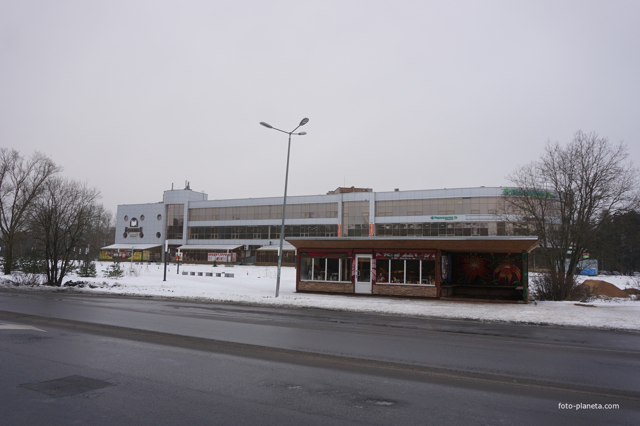 Сосновый Бор.