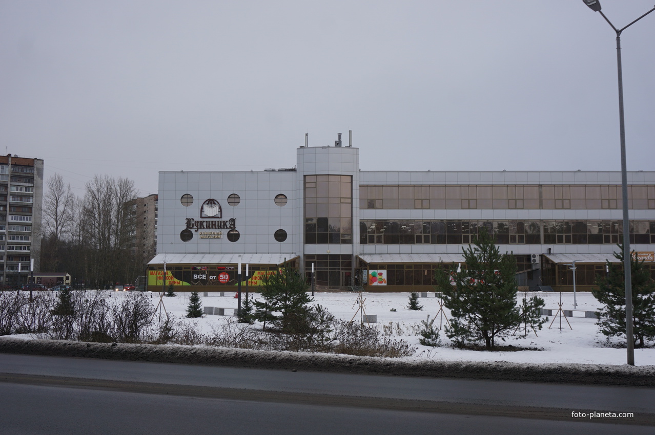 Сосновый Бор.