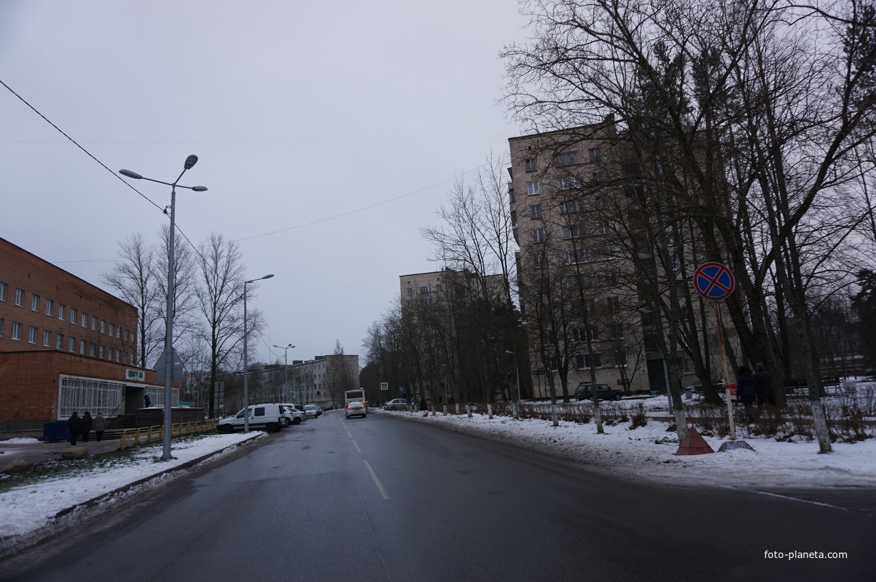 Сосновый Бор.