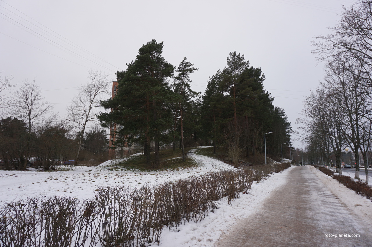 Сосновый Бор.