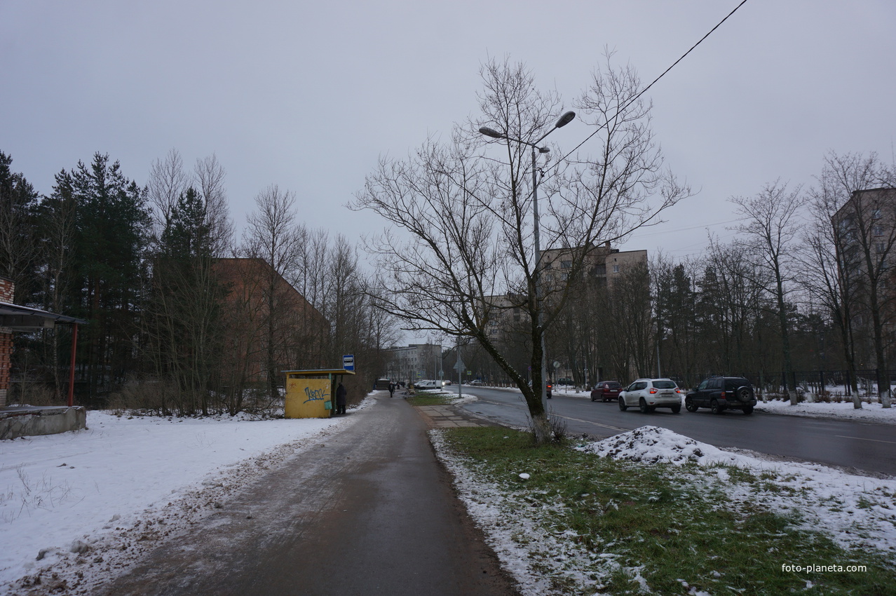 Сосновый Бор.