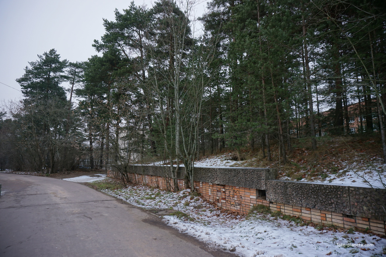 Сосновый Бор.