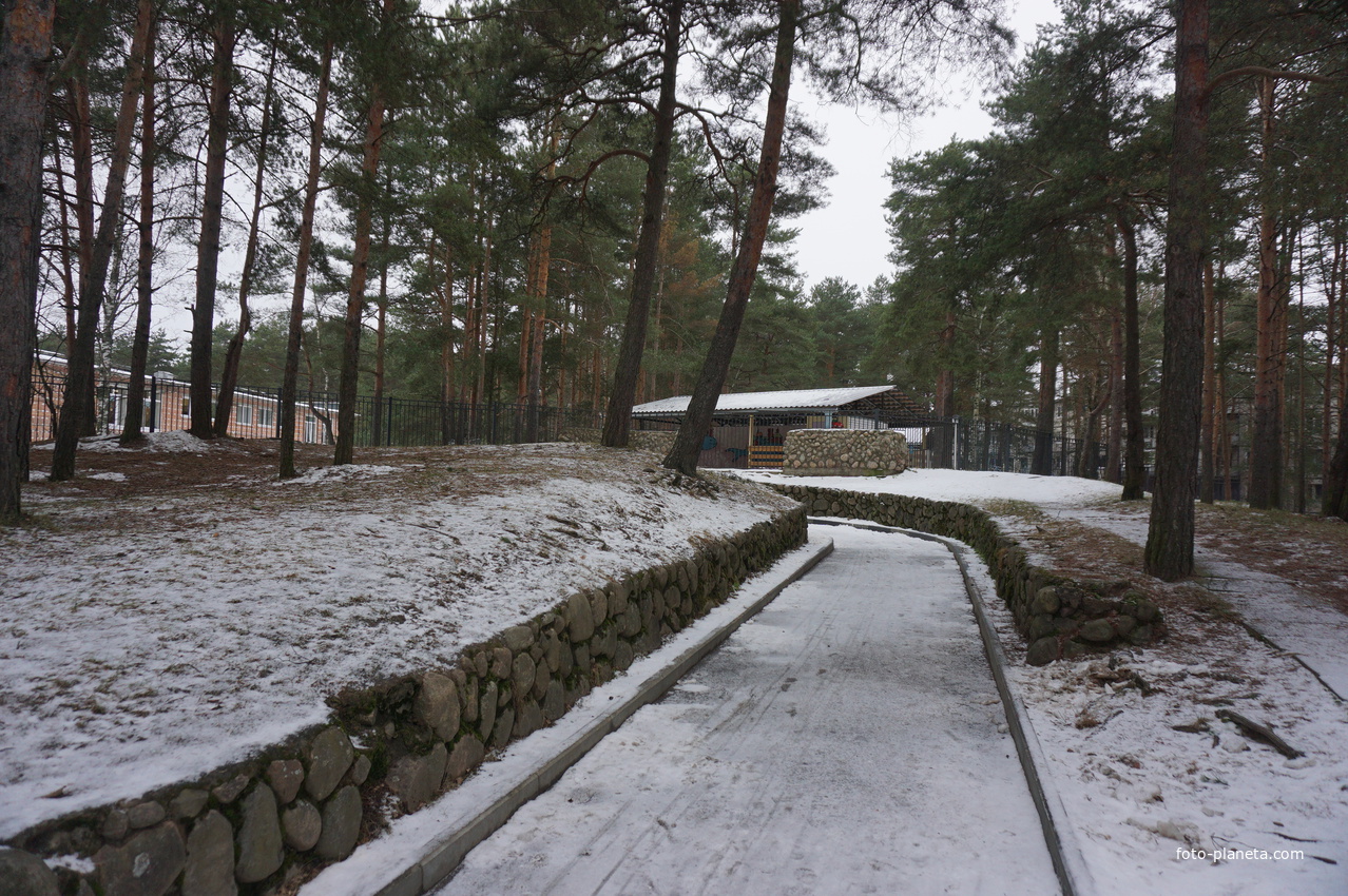 Сосновый Бор