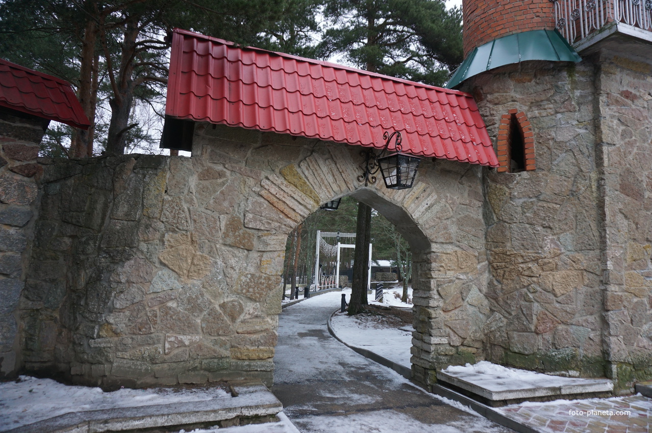 Сосновый Бор