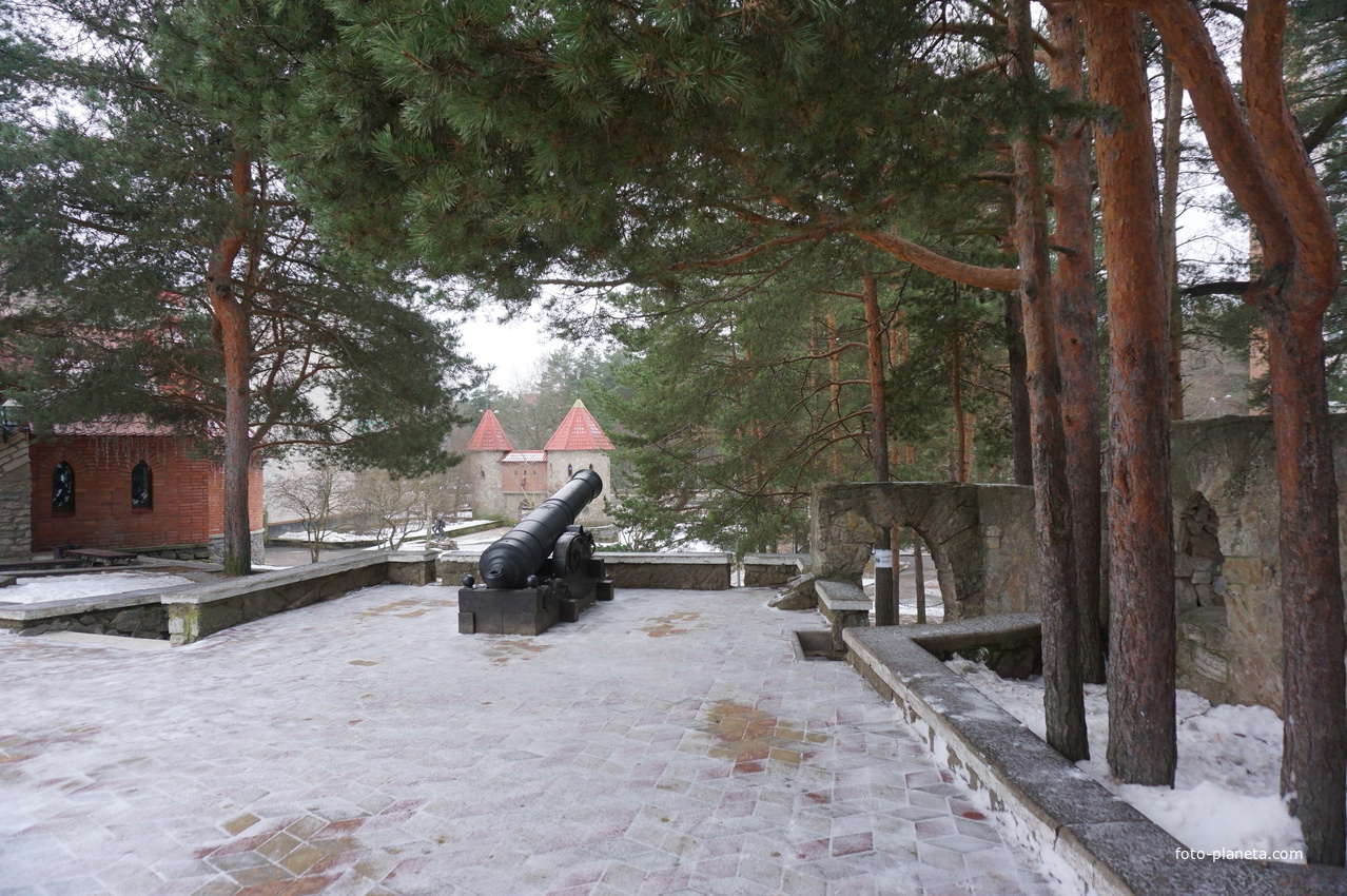 Сосновый Бор