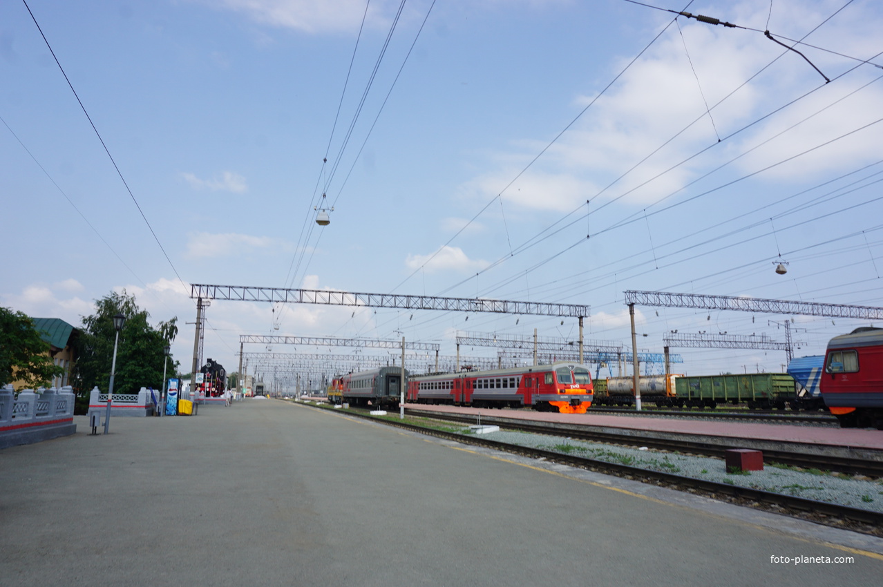 Сосновый Бор