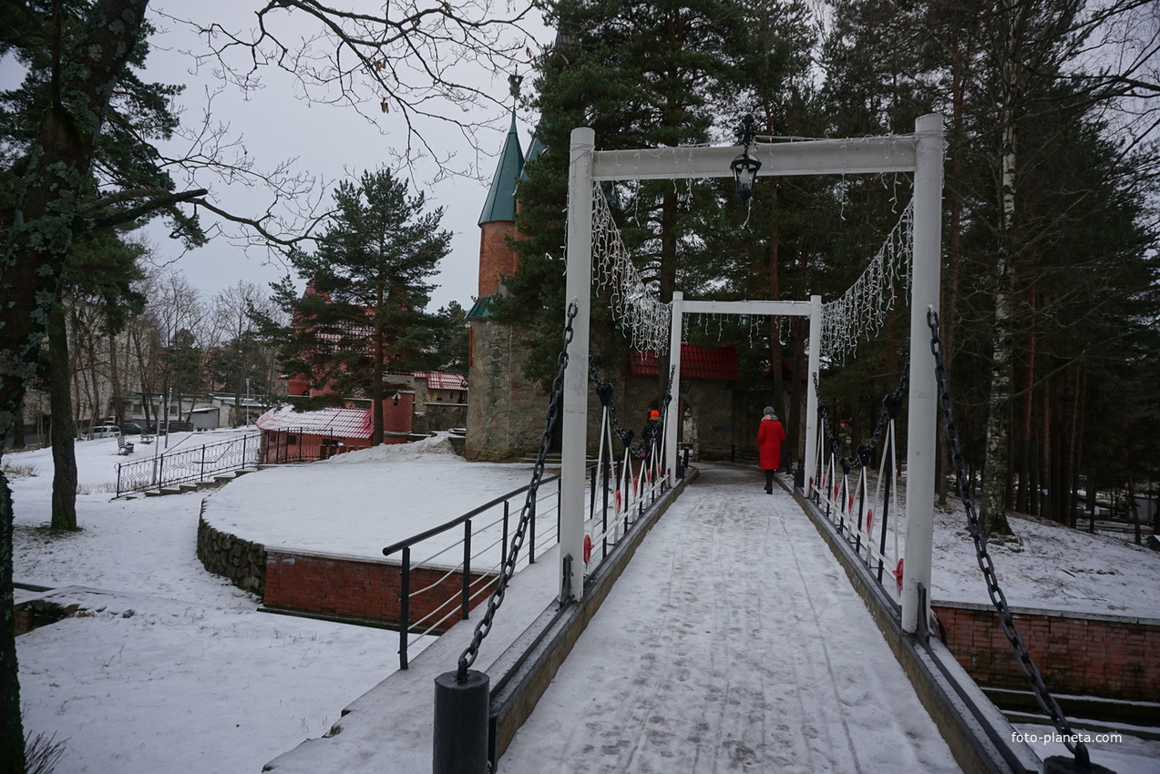 Сосновый Бор