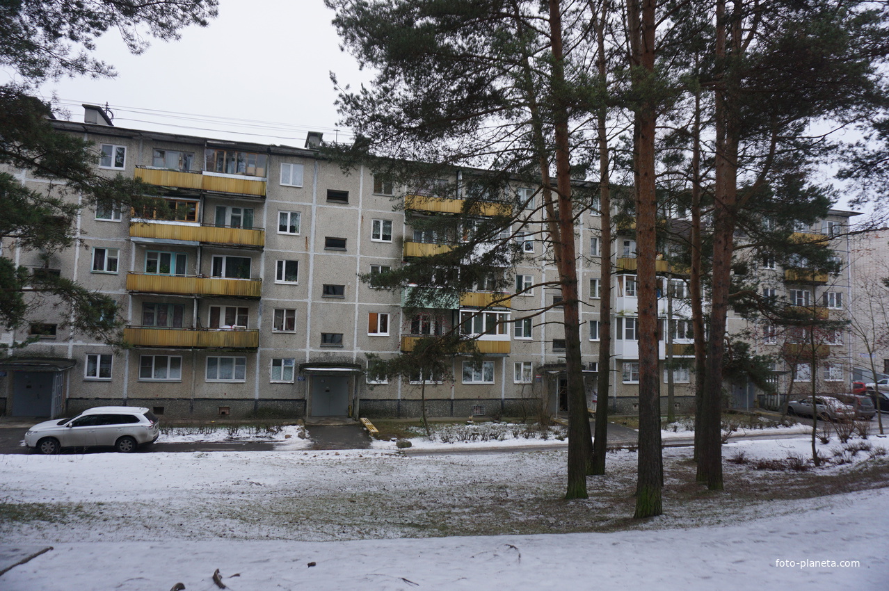 Сосновый Бор