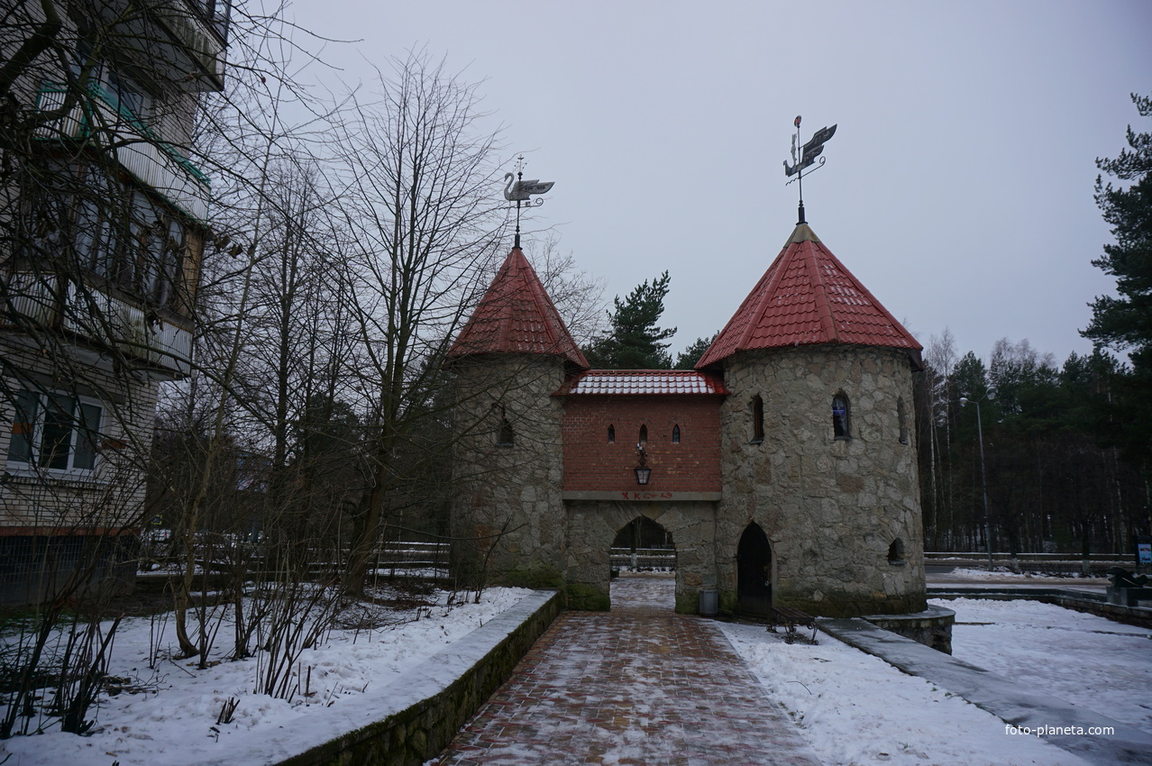 Сосновый Бор