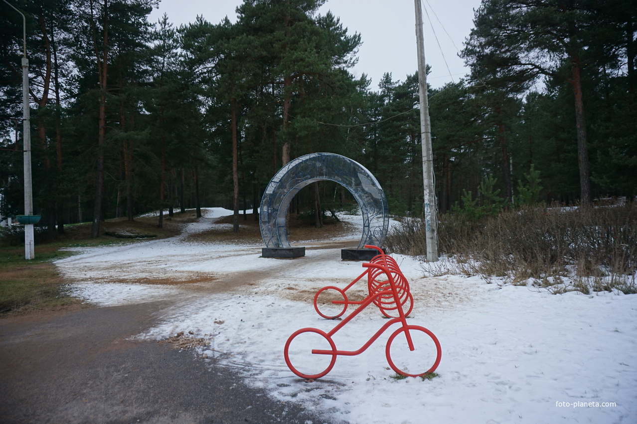 Сосновый Бор