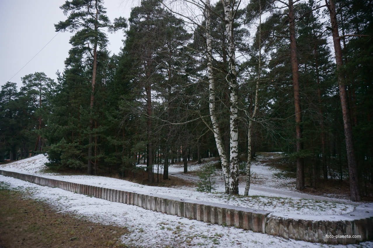 Сосновый Бор