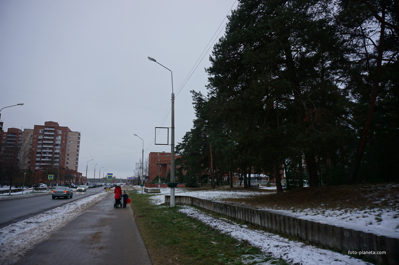 Сосновый Бор