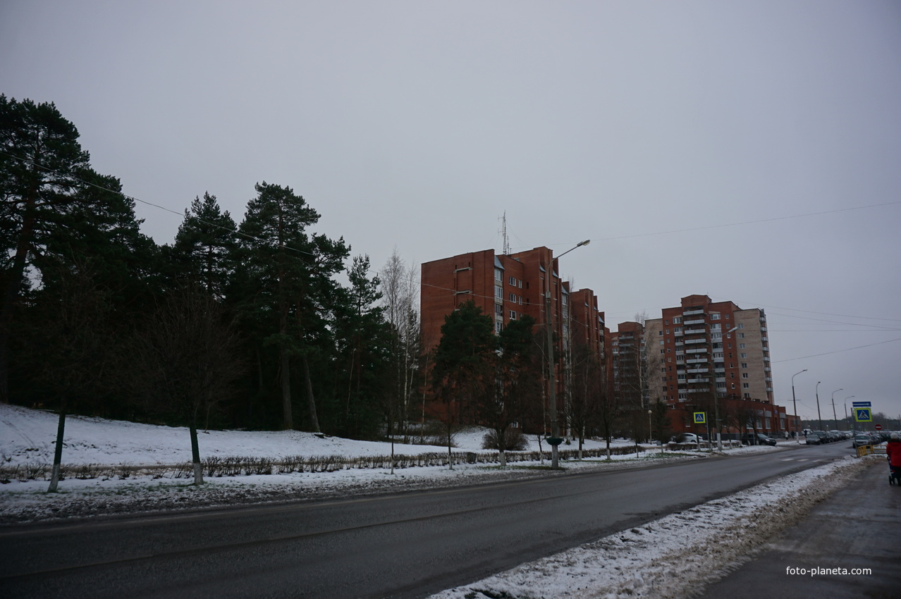 Сосновый Бор