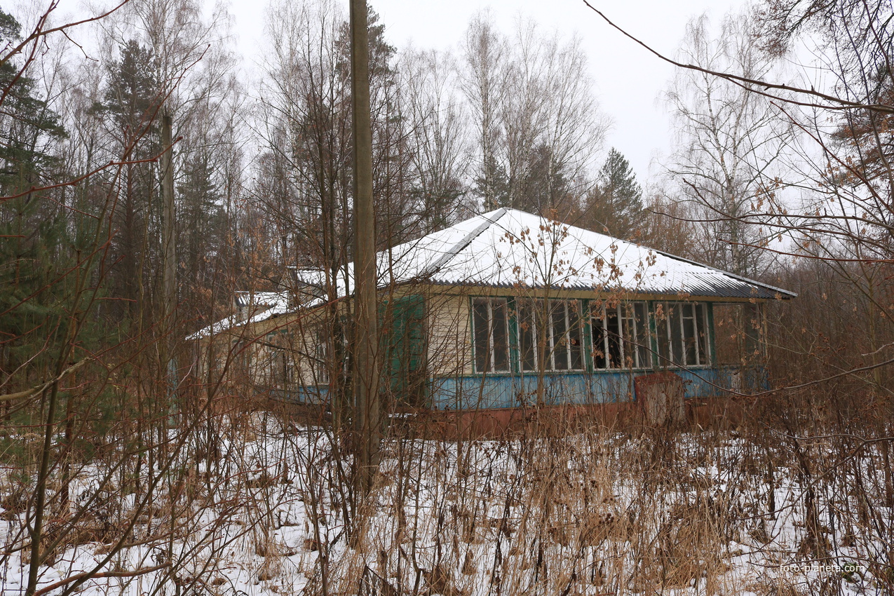 Пионерский лагерь Ласточка | Детский лагерь (ДОЛ) Ласточка | Фотопланета