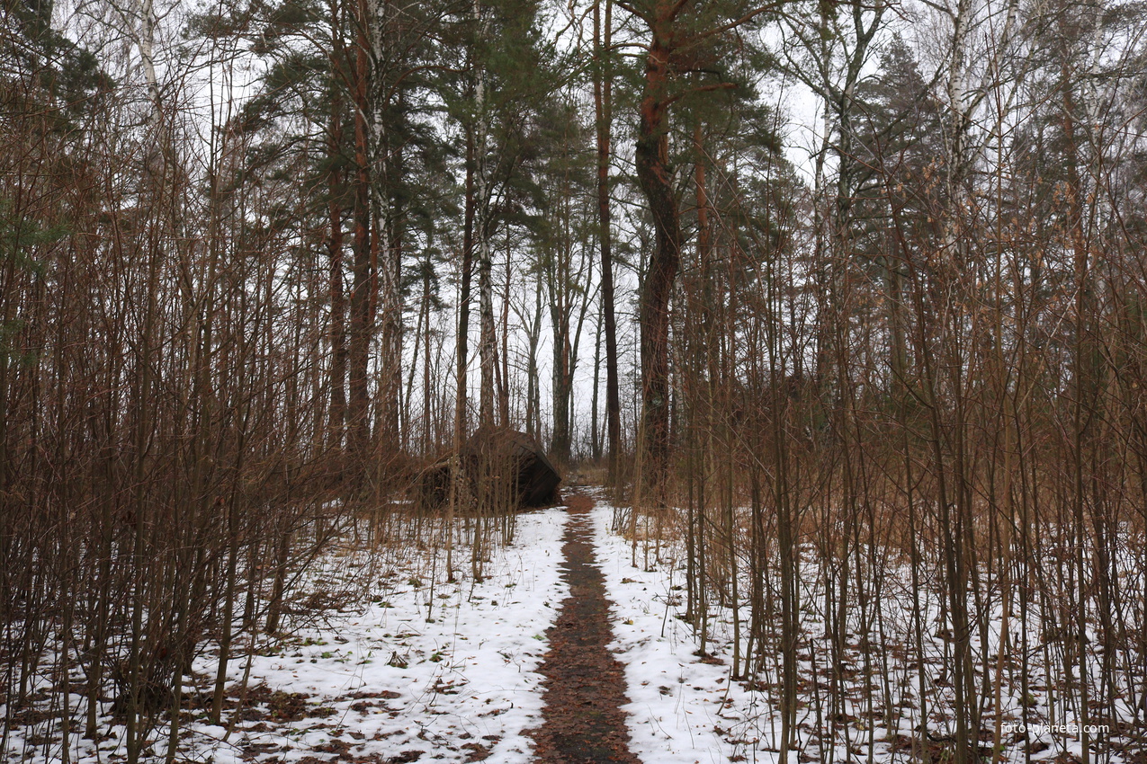 Пионерский лагерь Ласточка