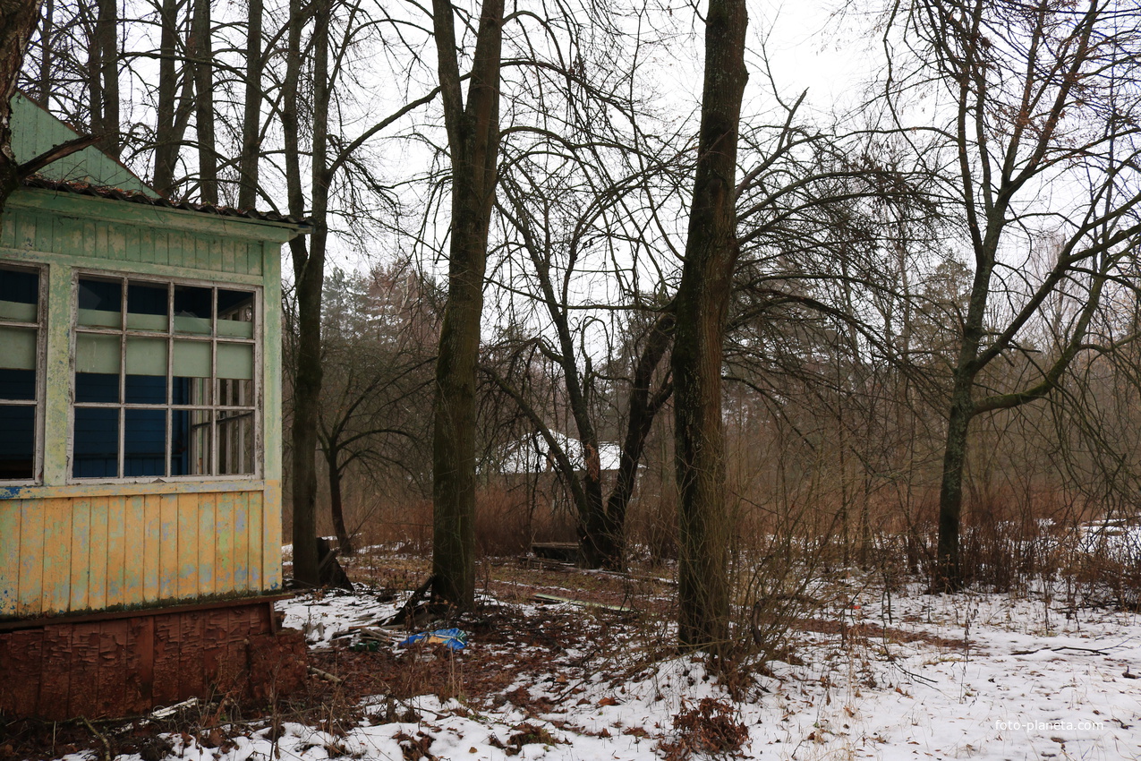 Пионерский лагерь Ласточка Октябрьского трамвайного депо