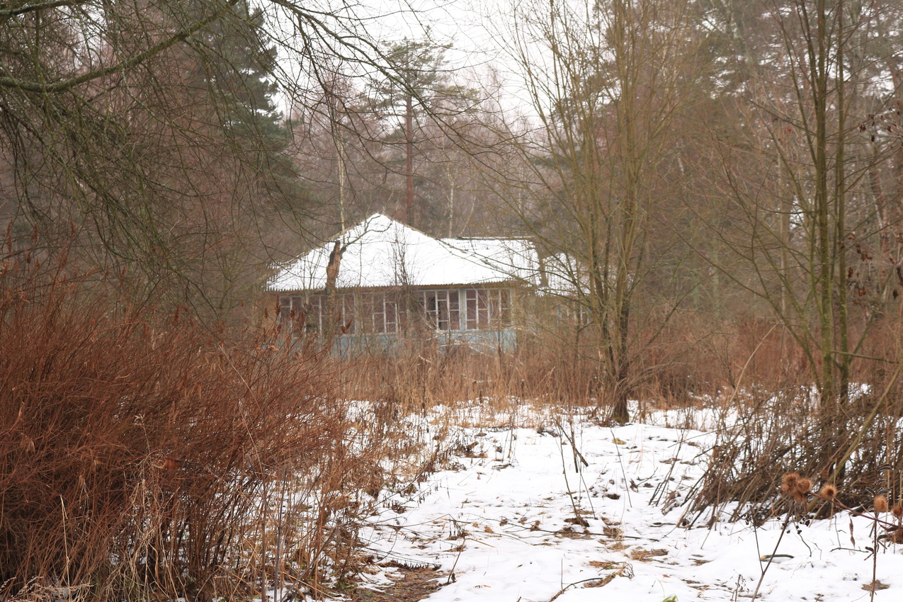 ДОЛ Ласточка