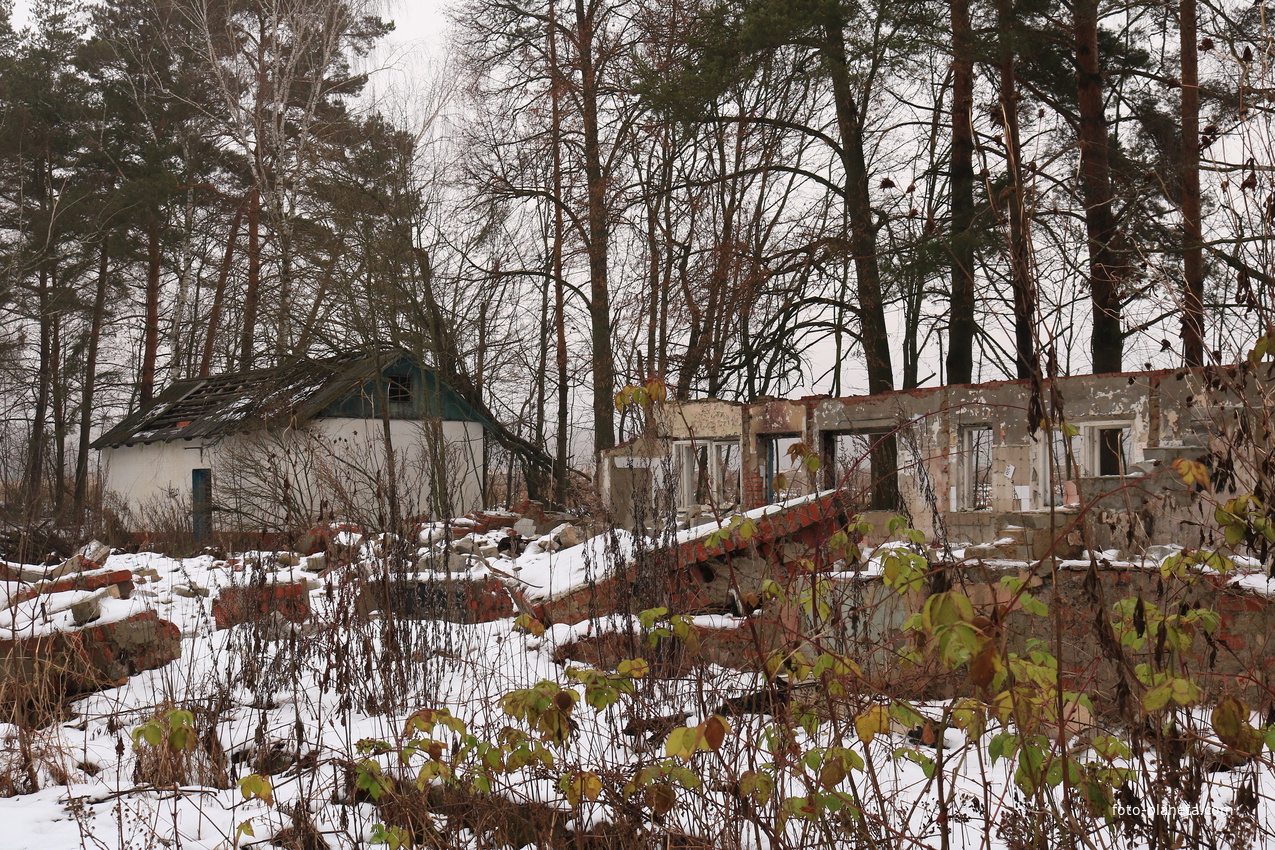 ДОЛ Ласточка