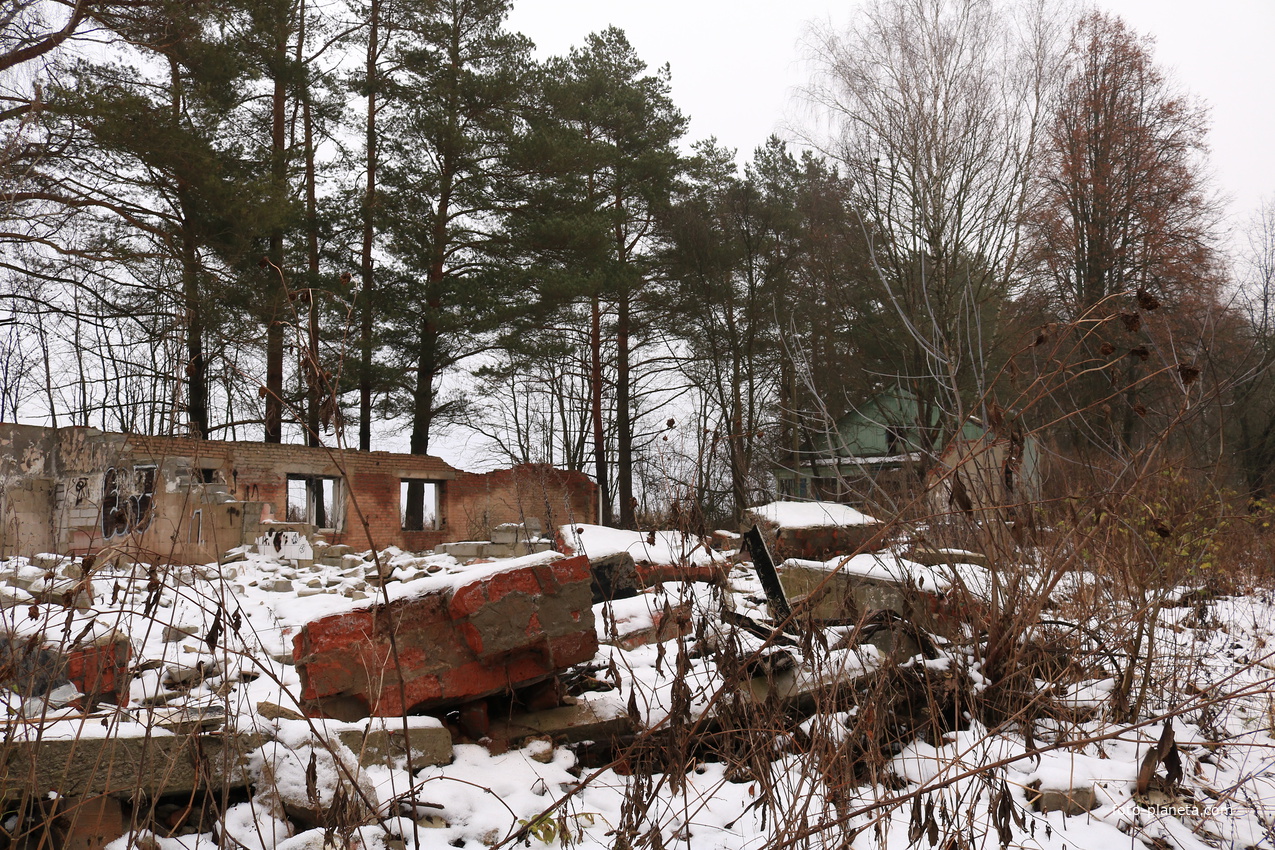 ДОЛ Ласточка