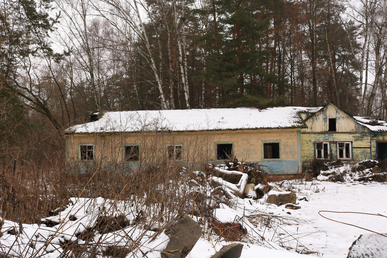 ДОЛ Ласточка