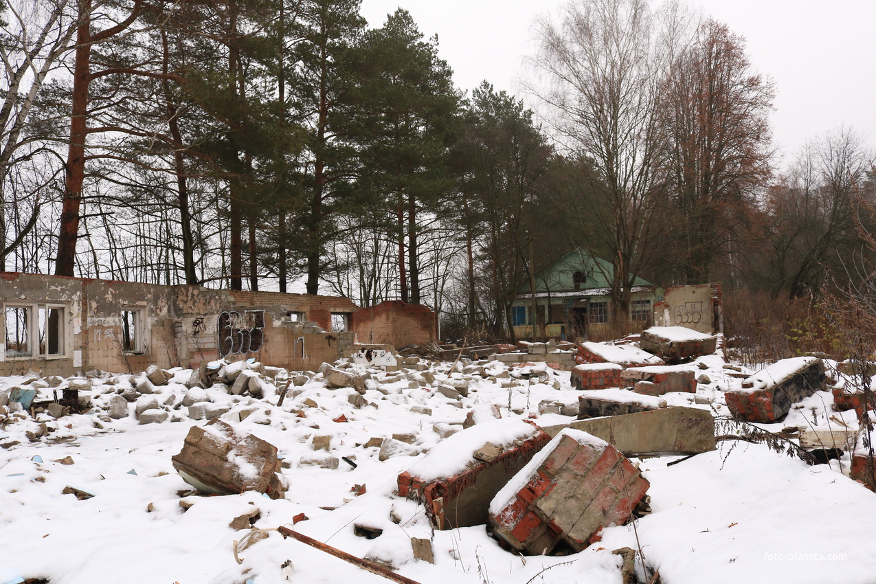 ДОЛ Ласточка