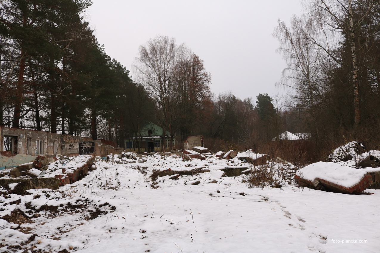 ДОЛ Ласточка