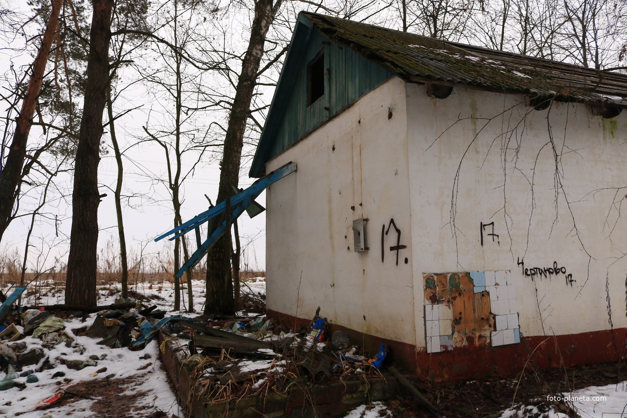 ДОЛ Ласточка