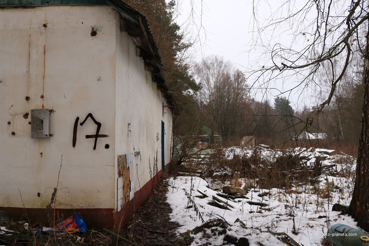 ДОЛ Ласточка