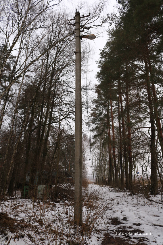 ДОЛ Ласточка