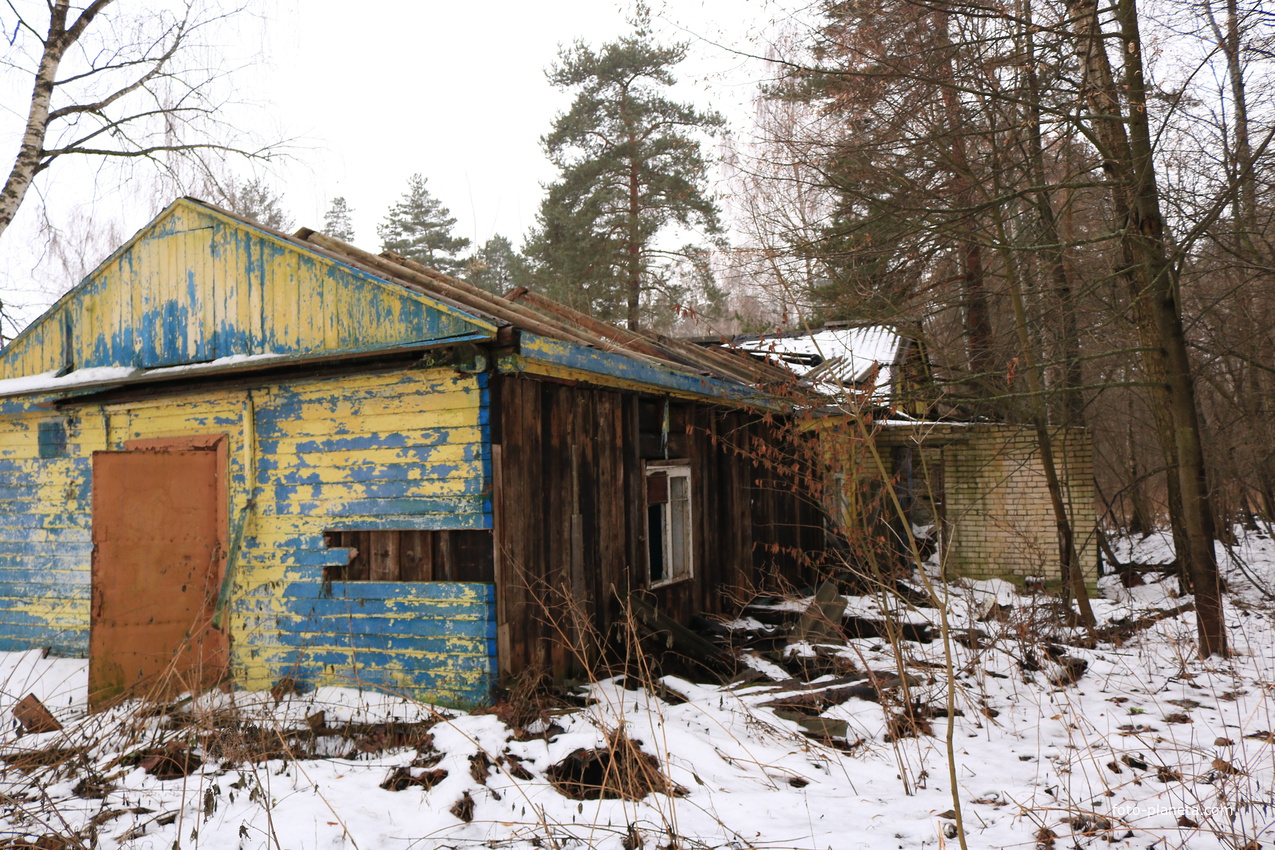 ДОЛ Ласточка