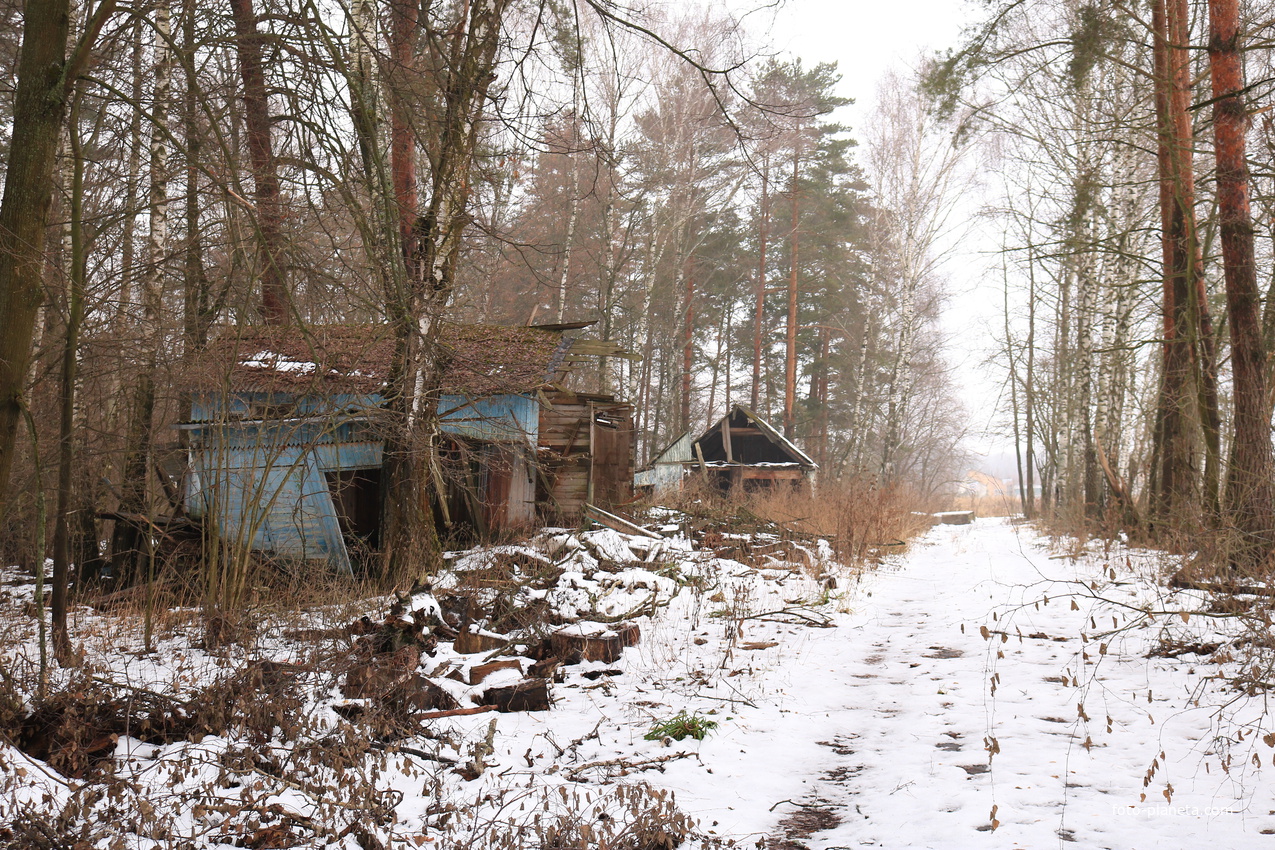 ДОЛ Ласточка