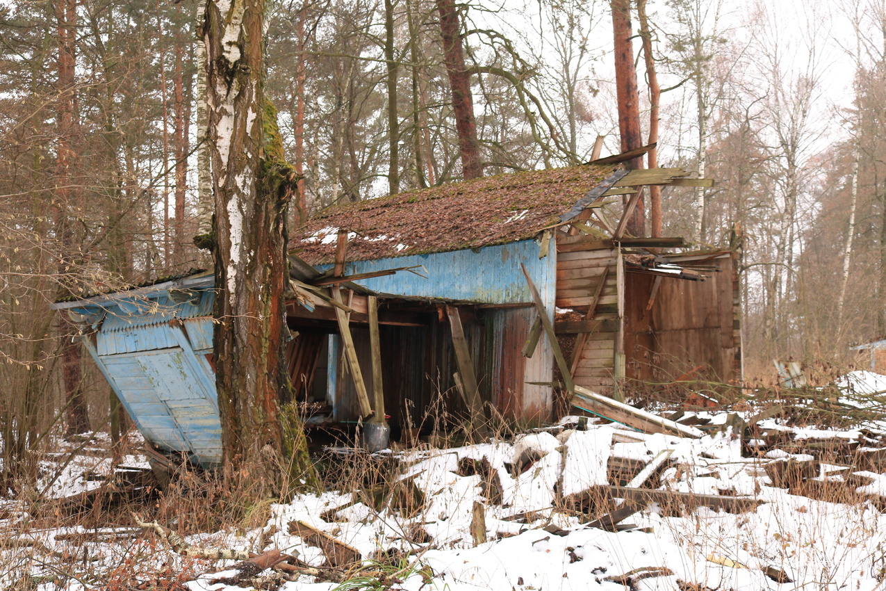 ДОЛ Ласточка