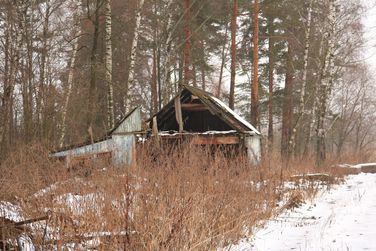 ДОЛ Ласточка