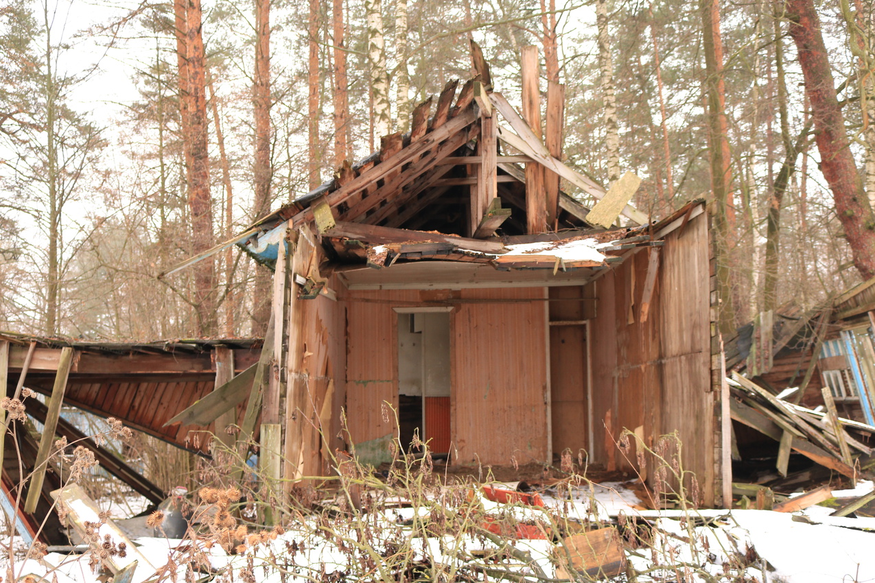 ДОЛ Ласточка