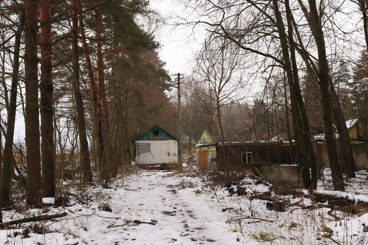 ДОЛ Ласточка